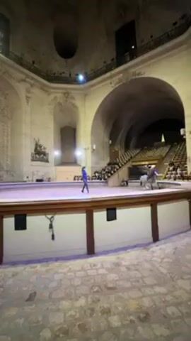 The video captures a scene inside a large, circular hall. A woman in a blue outfit stands on a sandy arena surface, leading a gray horse with a light mane. The horse lies down and then stands up on command. To the right of the arena, tiered seating holds an audience. The hall is adorned with architectural details including arched doorways and sculpted deer decorations. The floor in the foreground is made of cobblestones. Another person is on their hands and knees in the sand arena, near the left side.