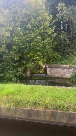 The video presents a tranquil daytime scene in Welshpool, United Kingdom, featuring a small, man-made waterfall or weir. Water gently cascades over two distinct levels of a brick and stone structure. The area is lush with green foliage, including dense trees and bushes that frame the waterfall. Sunlight filters through the leaves, creating bright spots. In the foreground, vibrant green grass is visible, interspersed with small yellow flowers. The camera slowly zooms in on the flowing water. No people or visible text are present in the shot.