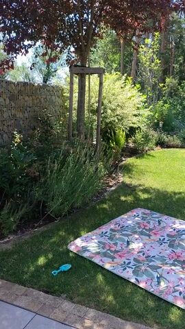 This media file showcases a sun-drenched backyard on a clear day, likely in Písek, Czechia. The scene is dominated by lush green grass, a vibrant garden with various plants and trees, and a tall forest bordering the property. In the foreground, a table covered with a colorful, floral-patterned tablecloth sits on the grass, holding a bowl of green fruit. To the right, a bright blue inflatable pool is partially visible, hinting at a recreational activity. A small blue child's shovel lies near the table, suggesting play.

Further into the yard, a green hose is connected to a sprinkler, which is actively watering the lawn. The sunlight casts distinct shadows, indicating it is mid-day. The overall atmosphere is one of a peaceful, idyllic summer day, perfect for outdoor leisure. The scene evokes a sense of relaxation and family fun, with the presence of the pool and toys. The rich foliage and tall trees suggest a rural or suburban setting, away from the hustle and bustle of a city. No text is visible in the media file.