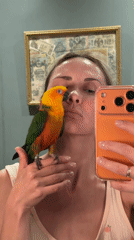 Woman Takes Bathroom Selfies With Colorful Parrot Companion