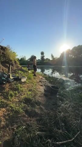 The video shows a sunny day by a river. Two people are visible on the bank of the river, fishing. One person is standing and looking at the water, while the other is seated in a chair next to fishing gear. Several fishing rods are set up on the bank, with lines cast into the water. Buckets and other fishing equipment are also present. The sun is shining brightly, casting a glare on the water and creating a lens flare in the video. The riverbank is covered in grass and some bare earth. Trees and vegetation are visible on the opposite bank and further in the background. The sky is clear and blue.
