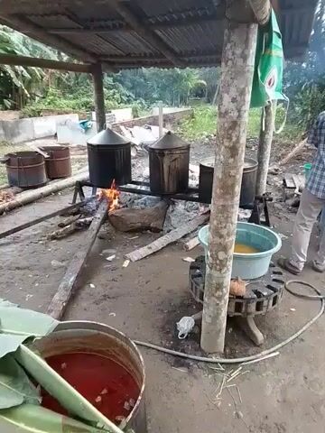 A man wearing a checkered shirt and a cap is tending to a large cooking setup outdoors. The setup includes three large metal pots heated by a fire. Two of the pots are directly over the fire, while the third is to the side. In the foreground, a large blue tub contains a yellow liquid. Various other containers and supplies are scattered around the area, which appears to be a rural or outdoor setting with vegetation in the background. The man is actively engaged in the cooking process, suggesting he is preparing food or a beverage.