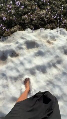 The video shows a person walking barefoot from a patch of snow onto a field of purple and white flowers. The person is wearing black shorts. The field is in a mountainous area with patches of snow still present. The sky is blue and sunny.