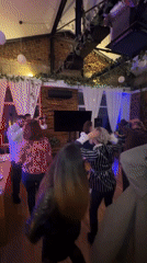 Private party with dancing documented at decorated Sofia venue