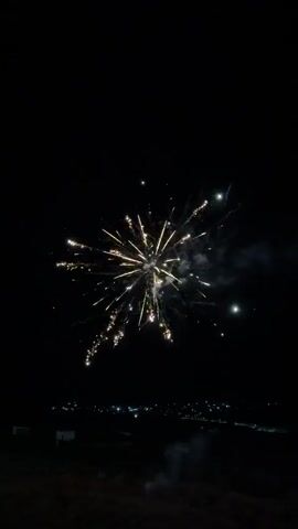 A vertical video displays a fireworks display against a dark night sky. In the foreground, a dark silhouette of the ground and a faint outline of what might be a structure are visible. In the mid-ground, a line of distant lights suggests a town or settlement. The main focus is the sky where multiple fireworks are exploding in various patterns and colors, including white, gold, red, and green. One firework is shown ascending on a thin, glowing trail. The fireworks create bursts of light and trails, with some smoke visible. The video is a sequence of still frames showing the progression of the fireworks.