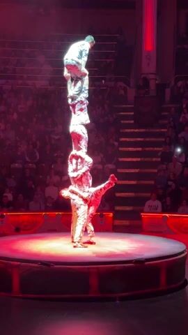The video shows four acrobats in white and blue patterned outfits on a round stage illuminated with red light. They are stacked on top of each other in a human pyramid. The acrobat on the bottom is standing with one leg extended out to the side. Above him, two acrobats are supporting the acrobat on top, who is balanced upside down, reaching straight up. The background shows a large auditorium filled with spectators. The camera remains static throughout the video.