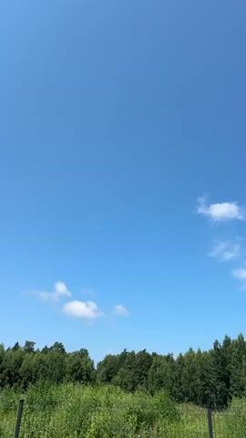 The video shows a clear blue sky with a few scattered clouds. Below the sky is a dense line of green trees, forming a forest. In the foreground, there is tall green grass and a fence. The camera is stationary and oriented vertically. There are no people or animals visible in the frame. The overall scene depicts a rural or natural landscape on a sunny day.