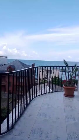 The video pans across a balcony with a metal railing overlooking the sea. The balcony floor is tiled. There is a potted palm tree on the right side of the balcony with some red flowers. In the distance, there are buildings and the ocean under a partly cloudy sky.
