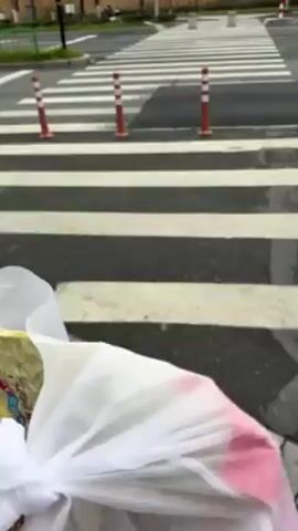 The video shows a first-person perspective from the handlebars of a bicycle, facing a crosswalk. The bicycle has a white mesh bag attached to the handlebars, and a yellow paper bag inside the mesh bag appears to contain packaged food. The crosswalk has white stripes and is flanked by orange and white traffic bollards. The traffic light in the distance is green. A gray sedan and a white van drive past the crosswalk. The weather appears overcast.