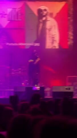 A man with long dreadlocks is singing into a microphone onstage at a concert. He is wearing a dark outfit with colorful stripes and a matching hat, and white shoes. A large screen behind him displays a picture of him in similar clothing. The stage is lit with purple and red lights. A woman stands behind him to his right. The crowd is visible in the foreground, with many people holding up their phones. There are various pieces of musical equipment on stage.