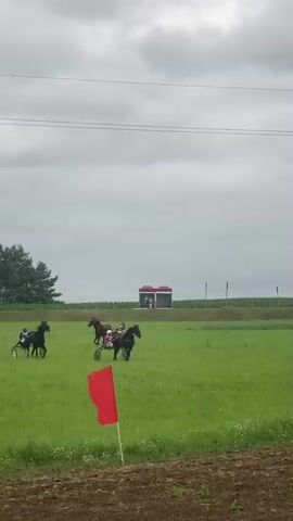 A horse race is taking place on a green field under a cloudy sky. Several horses are pulling carts with riders. In the foreground, there is a red flag planted in the ground. In the background, there is a building with a red roof. The horses are running at a fast pace. The riders are wearing helmets and racing attire. The scene is peaceful and serene.