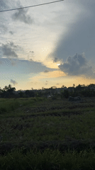 Motorcyclist passes through debris-scattered field in Mengwi, Indonesia