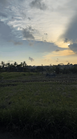Motorcyclist passes through debris-scattered field in Mengwi, Indonesia
