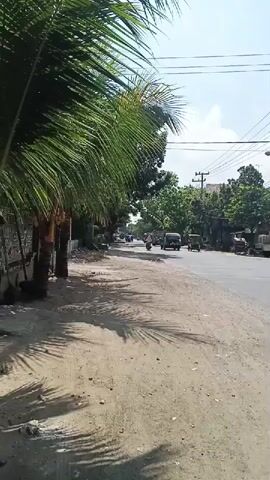 A vertical video pans across a dusty road lined with palm trees and vegetation. Cars and motorcycles navigate the asphalt, with a yellow truck carrying a large load in the foreground. Overhead power lines crisscross the bright, clear sky.