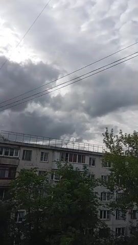 This is a vertical video shot from a window, showing a cloudy sky above a multi-story apartment building. Lush green trees are visible in the foreground, partially obscuring the lower floors of the building. Overhead, power lines are strung across the frame. The lighting suggests it is daytime, but the overcast conditions create a muted, grayish atmosphere. The building appears to be made of concrete or stucco and has multiple windows, some of which are open. The overall scene depicts an urban residential environment on a cloudy day.
