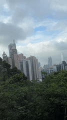 Hong Kong skyline captured from elevated position through trees