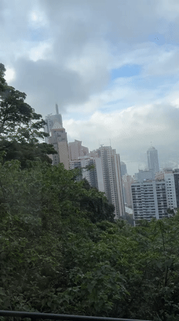 Hong Kong skyline captured from elevated position through trees