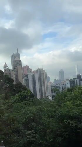 Hong Kong skyline captured from elevated position through trees