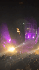 Buenos Aires crowds gather at illuminated flower sculpture event