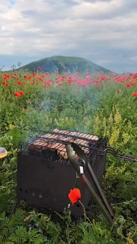 A barbecue grill with meat cooking on it is in the foreground. The grill is surrounded by green grass and red poppies. A hill covered in poppies is in the background. The sky is cloudy.