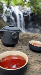 Tea ceremony held beside waterfall in Selemadeg, Indonesia