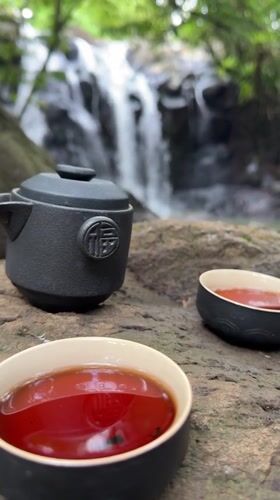 Tea ceremony held beside waterfall in Selemadeg, Indonesia