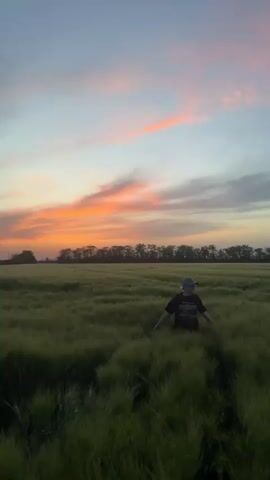 The video shows a young person wearing a black shirt, black shorts, and a grey baseball cap walking through a field of tall green grass, possibly wheat or barley. The person smiles at the camera and touches the brim of their cap before the camera gets blurry. The sunset is in the background, creating a colorful sky with hues of orange, pink, and blue. Trees are also visible in the distance.
