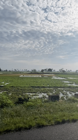 Flooded rice fields along rural road in Kampungjumpa