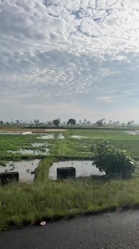 Flooded rice fields along rural road in Kampungjumpa