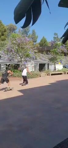 Two young men are skateboarding in an outdoor plaza on a sunny day. The plaza is paved with reddish-brown tiles and has concrete benches. In the background, there are trees with purple flowers, a modern building with a ribbed facade, and some parked vehicles. One of the men, wearing a black tank top and shorts, is further away and on the left. The other man, wearing a white tank top and dark pants, is closer to the camera and on the right. He is in the process of performing a skateboarding trick, leaning forward and appearing to jump. The man in the black tank top is watching him. The camera view is partially obstructed by dark green leaves in the foreground.