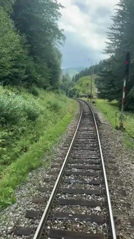 The video shows a first-person view from a moving train traveling on a track. The track is made of gravel and wood sleepers with metal rails. The train is moving through a dense forest with lush green trees and vegetation on both sides of the track. The sky is overcast with some sunlight breaking through. There is a signal post with a red light visible on the right side of the track. The camera is focused on the track ahead as the train curves to the left.
