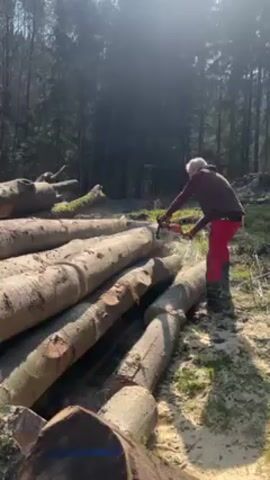 In a forest, an adult person with gray hair is operating a chainsaw on a pile of logs. The person is wearing a brown vest, red pants, and dark boots. The chainsaw is an orange and white color. The pile of logs is located on grassy ground near a wooded area. Sunlight shines through the trees.