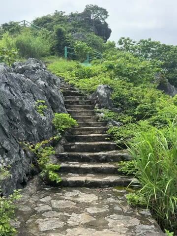 The video shows a stone staircase leading up a rocky, overgrown hill. The stairs are worn and somewhat uneven, with greenery growing on and around them. The surrounding environment is lush with vegetation, including trees and tall grasses. The sky is overcast, suggesting cloudy or rainy weather. There are no people or animals visible in the video. The camera perspective is static, focusing on the staircase and its surroundings. The overall impression is one of a somewhat wild or untamed natural setting with a man-made path.