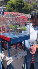 La Paz street market bustles with vendors and carnival games
