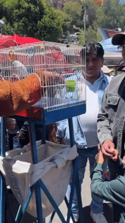 La Paz street market bustles with vendors and carnival games