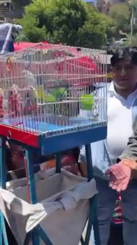 La Paz street market bustles with vendors and carnival games