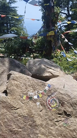 Morning visitors gather among Tibetan prayer flags in Dharamkot forest