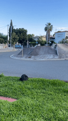 Skateboarder performs tricks at residential roundabout in Calafell, Spain