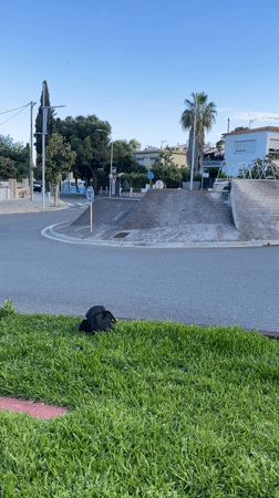 Skateboarder performs tricks at residential roundabout in Calafell, Spain
