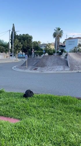 Skateboarder performs tricks at residential roundabout in Calafell, Spain
