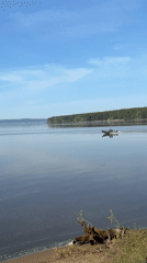 Motorboat crosses calm lake near Забегаево on sunny morning
