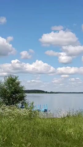 The video shows a tranquil lake scene on a sunny day with scattered white clouds in a bright blue sky. In the foreground, green grass and some reeds line the edge of the water. To the left, a small blue dock or pier is visible. Further into the lake, several people are swimming or wading. A sign with blue and yellow lettering, appearing to be in Russian and reading "СПУСК МАТЕРОВ" (which translates to "Slipway for boats" or "Descent for boats"), is planted in the ground near the shoreline. To the right, a silver car is parked, and a tall birch tree with lush green leaves stands prominently. The overall atmosphere is peaceful and suggests a recreational area by the water.