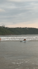 Surfers ride small waves at Galle beach