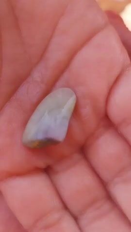 The video shows a close-up of a person's open palm holding a small, light-colored, curved object that appears to be a stone or shell fragment. The background is slightly blurred, but it seems to be a sandy outdoor environment, possibly a beach, with the legs and feet of other people visible. One person is wearing flip-flops. The lighting suggests it's daytime. The camera angle is from above, looking down into the palm.