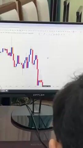 The video shows a person sitting in front of a computer monitor displaying a candlestick chart, likely for financial trading. The chart has red and blue candlesticks, representing price movements. The monitor is a ZIFFLER brand. The person is seen from behind, obscuring most of their face. The environment includes a wooden table, chairs in the background, and a potted plant beneath the monitor. The focus is on the screen and the person's attention directed towards it, presumably analyzing the chart.