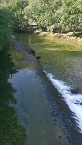 The video shows a flowing river with a small waterfall. The water is clear and green, with pebbles visible at the bottom. Trees line the riverbanks, and a wooden bridge can be seen in the background. The sun is shining, casting reflections on the water. There are no people visible in the video.