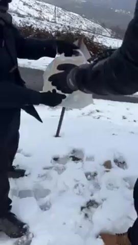 Two people are standing in the snow near a road. One person is holding a clear plastic bag open to reveal several red soda cans with white text inside. The second person is leaning toward the bag and then standing back up. The plastic bag is then tilted to dump the soda cans into the snow. The cans are then scattered in the snow. There are footprints in the snow and tree branches in the background. The road is visible in the background, and the sky is gray and overcast.