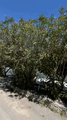 Tranquil Bay of Kotor scene recorded in Dobrota, Montenegro