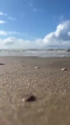 The video shows a ground-level view of a beach. In the foreground, the focus is on the sandy beach, dotted with small shells and fragments. In the background, the ocean stretches to the horizon, with small waves visible. Above the ocean, the sky is blue with fluffy white clouds. The overall impression is a sunny day at the beach.