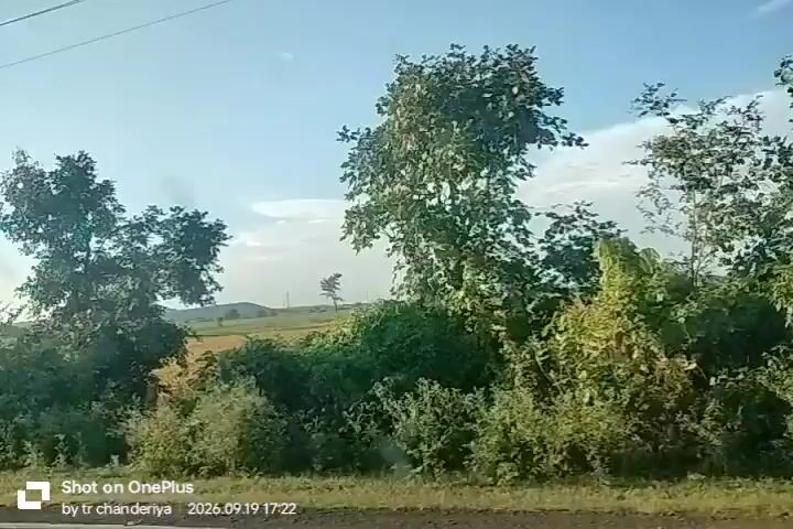 This is a video of a rural landscape. The camera appears to be moving, possibly from a vehicle. The scene is dominated by lush green vegetation in the foreground, with a field of yellowing crops in the middle ground. A single tree stands prominently in the field. The sky is blue with scattered white clouds. There are power lines visible in the upper portion of the frame. A timestamp in the lower left corner indicates the video was recorded on September 19, 2026, at 17:22.
